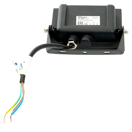 Светодиодный прожектор Feron LL-920 IP65 30W 6400K - фото