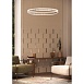 Подвесная люстра Divinare RENATA 1135/02 SP-48 - фото