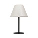 Декоративная настольная лампа Arte Lamp ALEA A5068LT-1BK - фото
