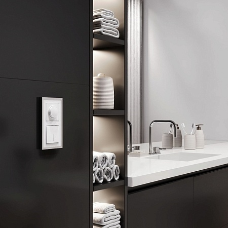 Диммер (белый матовый) W1142061 - фото