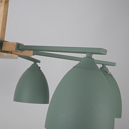 Потолочная Люстра Noa 6 Mint Imperiumloft Imperiumloft 183467-26 - фото