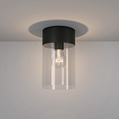 Уличный потолочный светильник 35085/F черный Elektrostandard