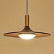 Подвесной Светильник Thea D25 Imperiumloft 189875-23 - фото