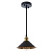 Подвесной светильник Arte Lamp CAPPELLO A7037SP-1BK - фото