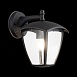 Светильник уличный настенный ST-Luce Черный/Черный, Прозрачный E27 1*40W SL081.411.01 - фото