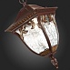 Светильник уличный подвесной ST-Luce Кофейный/Кофейный, Прозрачный E27 1*60W SL083.703.01 - фото