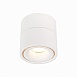 Светильник потолочный Белый LED 1*12W 3000K 1 000Lm Ra>90 36° IP20 D100xH105 170-240V ST652.532.12 - фото