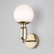 Настенный светильник Eurosvet 50251/1 золото - фото