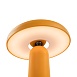 Аккумуляторный светильник Freya FR6109TL-L4OR - фото