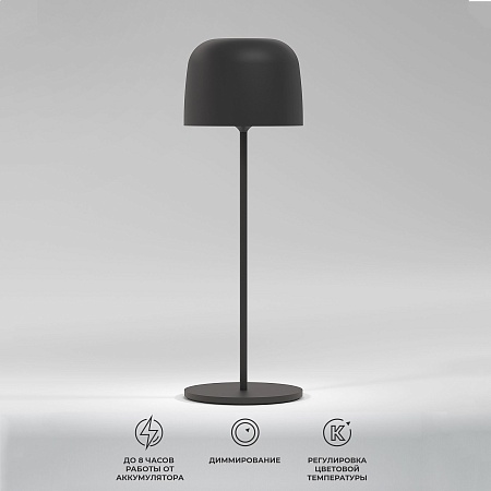Компактный светодиодный настольный светильник Bitty чёрный IP54 TL70260 Elektrostandard - фото