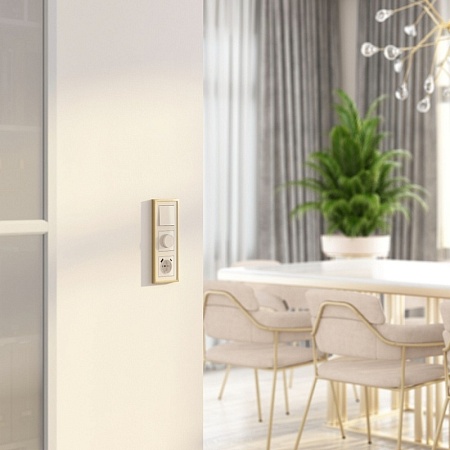 W1142043/ Диммер (айвори акрил) W1142043 - фото