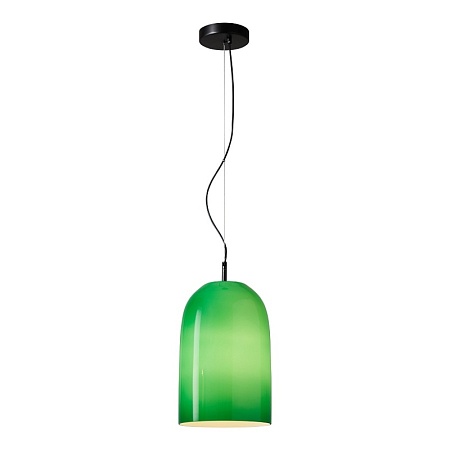 Светильник подвесной ST-Luce Черный/Зеленый E27 1*60W SL2001.413.01 - фото