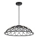 Светильник подвесной ST-Luce Черный/Черный LED 1*20W 3000K SL6016.403.01 - фото