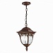 Светильник уличный подвесной ST-Luce Кофейный/Кофейный, Прозрачный E27 1*60W SL083.703.01 - фото