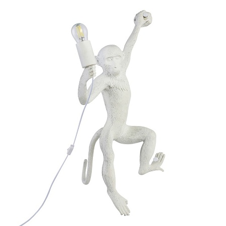 Светильник настенный Белый E27 1*60W SLE115111-01 - фото