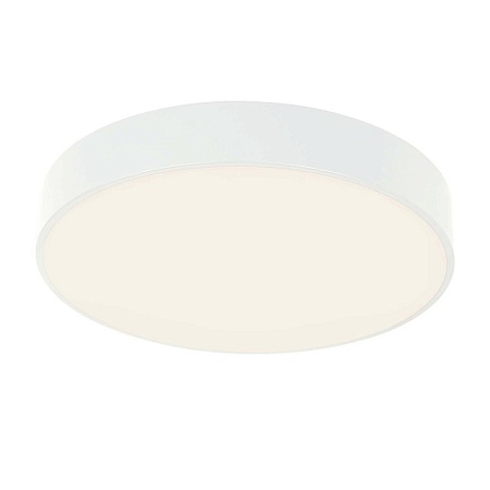 Потолочный светильник F-Promo 4683-4C - фото