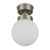 Потолочный светильник Freya FR5339CL-01N