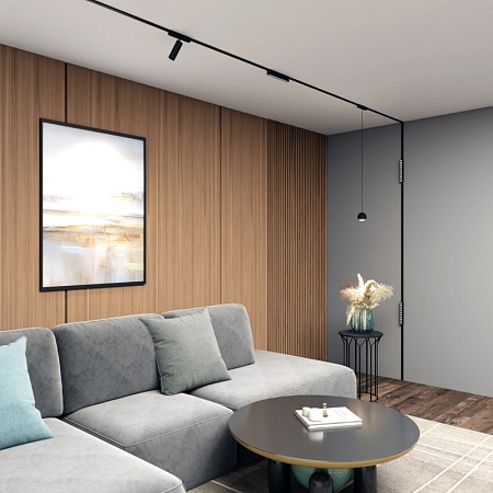 Светильник на шине Denkirs AIR SPOT DK5341-BK - фото