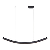 Светильник подвесной ST-Luce Черный/Черный LED 1*20W 4000K SL6232.403.01