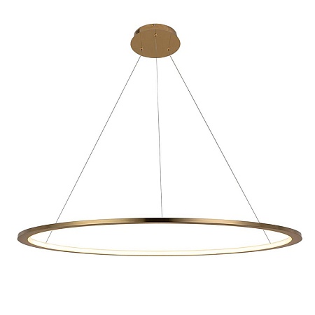 10014L Подвесной светильник LOFT IT Ring - фото