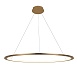 10014L Подвесной светильник LOFT IT Ring - фото