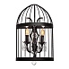 LOFT1891W Бра LOFT IT Vintage birdcage - фото