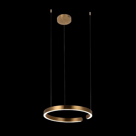 10013M Подвесной светильник LOFT IT Ring - фото