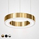 Люстра Light Ring Horizontal D40 Золото Imperiumloft 177930-22 - фото