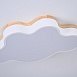Потолочный Светильник Cloud Eco D50 White Imperiumloft 189500-26 - фото