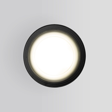 Уличный потолочный светильник Light IP65 35128/H серый Elektrostandard - фото
