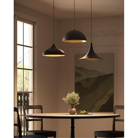 Подвесной светильник Arte Lamp CARMEL A7076SP-1BK - фото