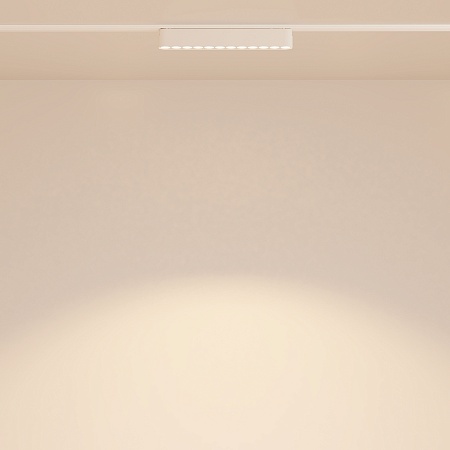 Трековый светильник Technical Points  TR082-1-12W3K-M-W - фото