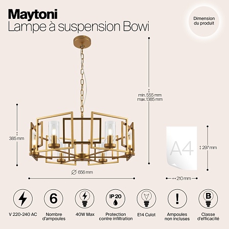 Подвесной светильник Maytoni Bowi H009PL-06G - фото