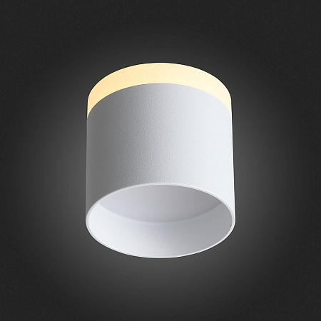 Светильник потолочный Белый LED 1*12W 3000K 936Lm Ra>80 120° IP20 D100xH90 170-240V ST102.502.12 - фото
