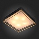 Светильник потолочный ST-Luce Черный, Матовое золото/Белый E27 5*40W SL1127.422.05 - фото