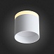Светильник потолочный Белый LED 1*12W 3000K 936Lm Ra>80 120° IP20 D100xH90 170-240V ST102.502.12 - фото