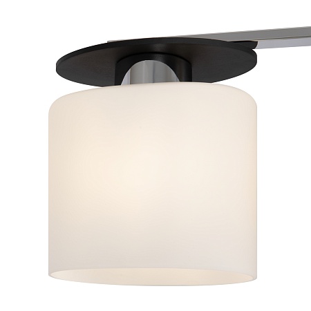 Потолочный светильник Freya Bice FR5101-CL-03-CN - фото