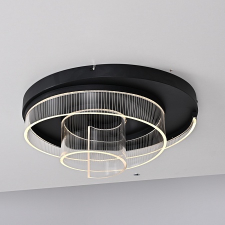 Потолочная Люстра Riven Black D50 Imperiumloft 314527-26 - фото