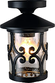 Уличный потолочный светильник Arte Lamp PERSIA A1453PF-1BK