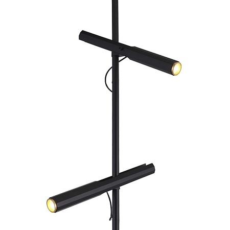 Светильник напольный ST-Luce Черный/Черный, Золотистый LED 2*3W 3000K SL6210.405.02 - фото