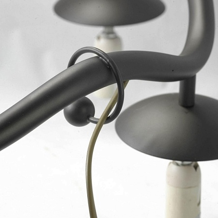 Люстра Lussole ROOSEVELT LSP-0212 - фото