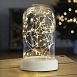 Световая фигура "Колба с Нитью Роса" 50LED 2700K, батарейки 3*АА, 23см, LT135 - фото