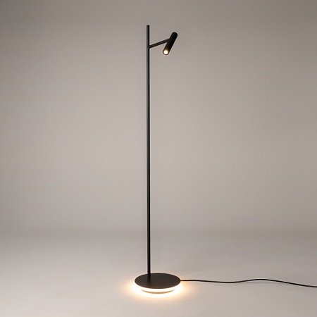 Напольный светильник (торшер) Maytoni Estudo Z010FL-L8B3K - фото