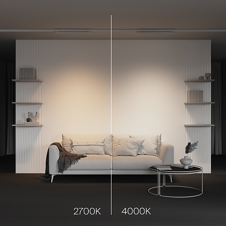Трековый светильник Technical BASIS TR196-3-20W2.7K-W - фото