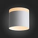 Светильник потолочный Белый LED 1*12W 3000K 936Lm Ra>80 120° IP20 D100xH90 170-240V ST102.502.12 - фото