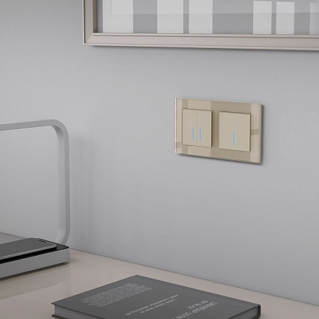 W4510011/ Сенсорный выключатель одноклавишный с подсветкой 1000 Вт (шампань) W4510011 - фото