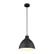 Подвесной светильник Arte Lamp BRACCIO A2055SP-1BK - фото