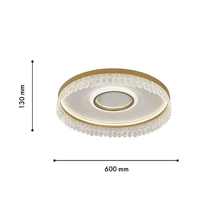 Потолочная люстра F-Promo 4186-2C - фото