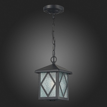 Светильник уличный подвесной ST-Luce Черный/Черный, Прозрачный E27 1*60W SL084.403.01 - фото