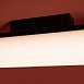 Потолочный светильник Freya FR5625CL-L20B - фото